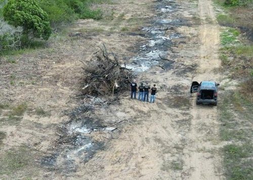 MPF Solicita Proteção Policial para Cacique Indígena Após Denúncia de Desmatamento Ilegal no Rio Grande do Norte