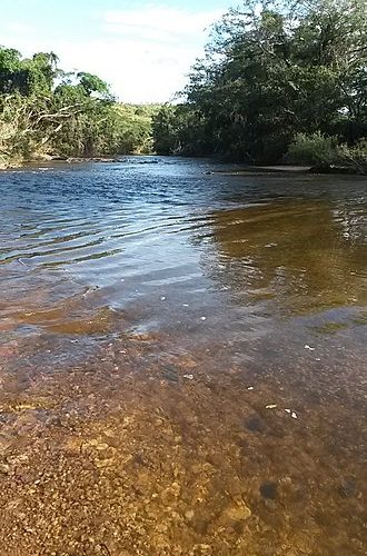 Quatro pessoas são presas e dragas destruídas durante operação contra garimpo ilegal no rio Madeira;