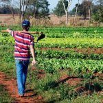 Delegado Lucas investe R$ 1,4 milhão na agricultura familiar de Buritis