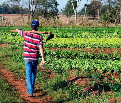 Delegado Lucas investe R$ 1,4 milhão na agricultura familiar de Buritis