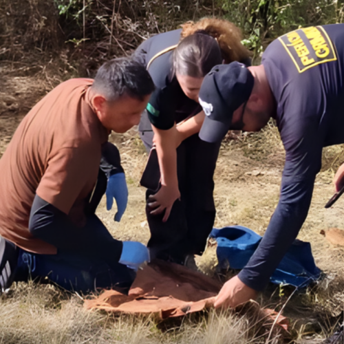 Reconstituição simulada investiga morte de jovem indígena em Amajari