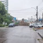 Chuvas intensas elevam alerta para queda de árvores em Porto Velho