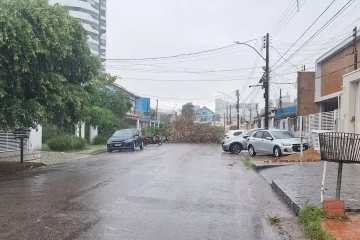 Chuvas intensas elevam alerta para queda de árvores em Porto Velho
